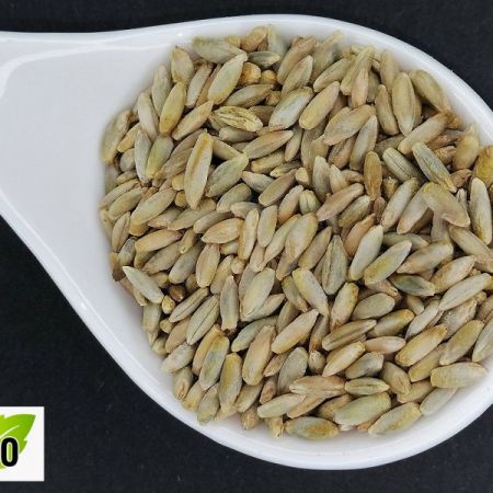 Centeno en grano ECO