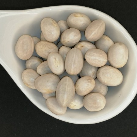 Alubia manteca